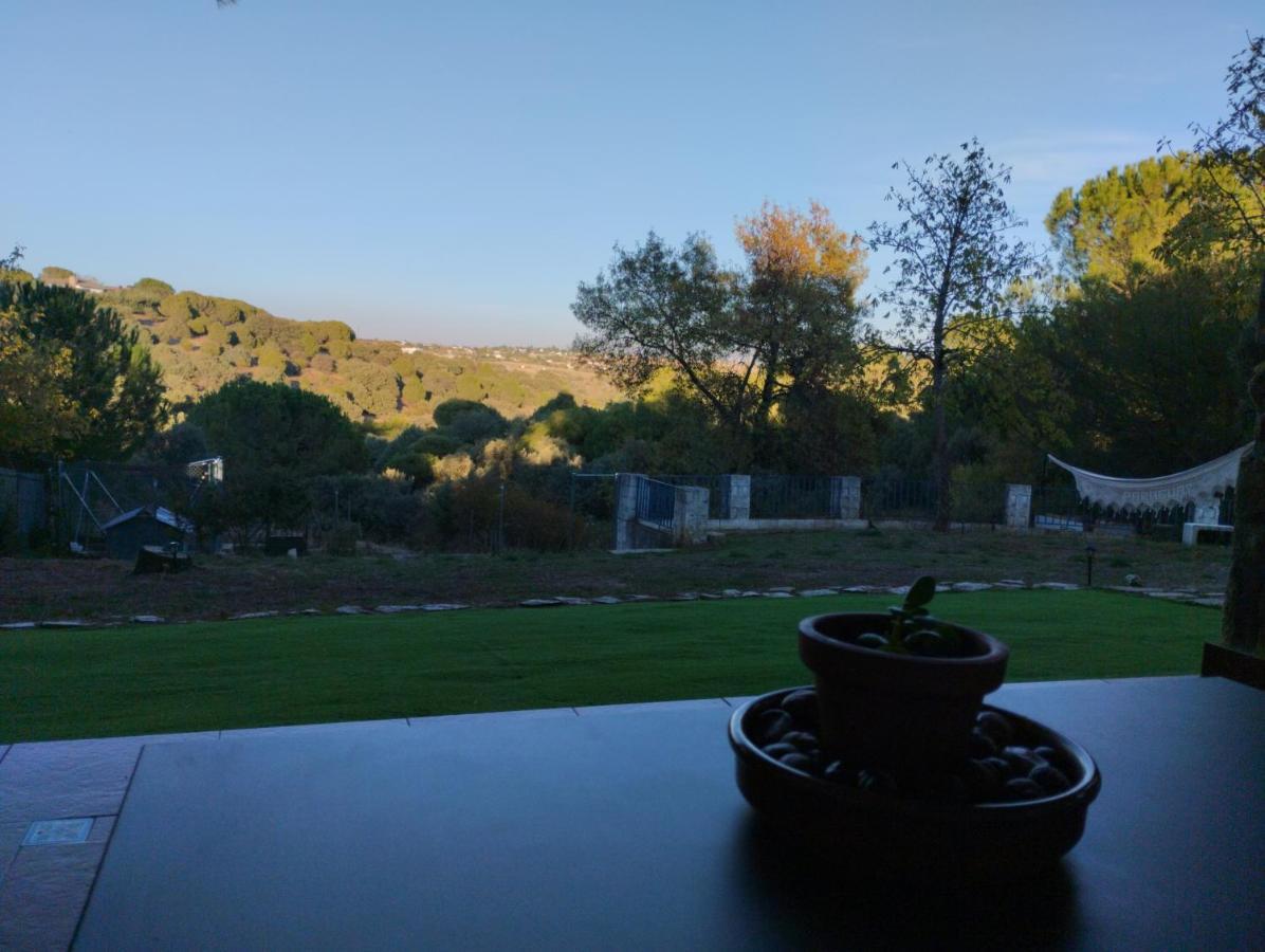 PedrezuelaEntre Pinos Y Medusas公寓 外观 照片